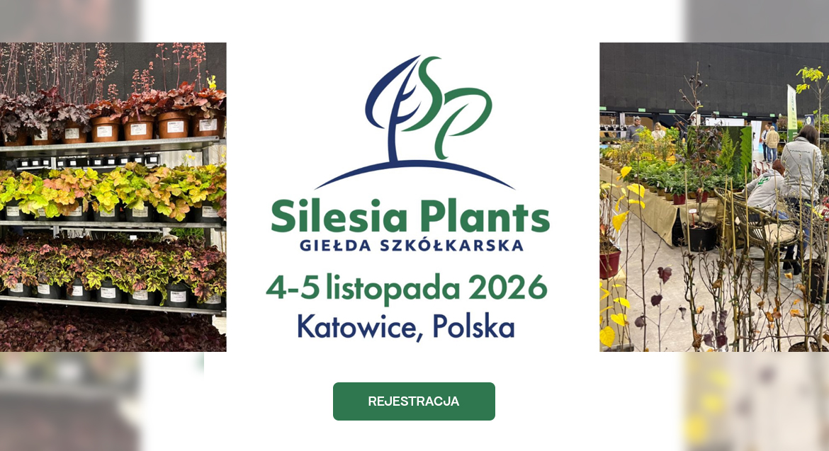 Silesia